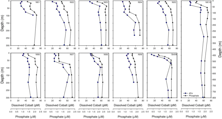 Fig. 2. Vertical profiles of total dissolved cobalt (dCo, circles) and soluble reactive phosphate (triangles) from austral summer in the Ross Sea (CORSACS-1)