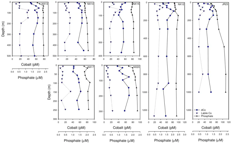 Fig. 3. Vertical profiles of total dissolved cobalt (dCo, circles), labile cobalt (downward triangles, dashed line) and soluble reactive phosphate (upward triangles, solid line) from late spring/early summer in the Ross Sea (CORSACS-2)
