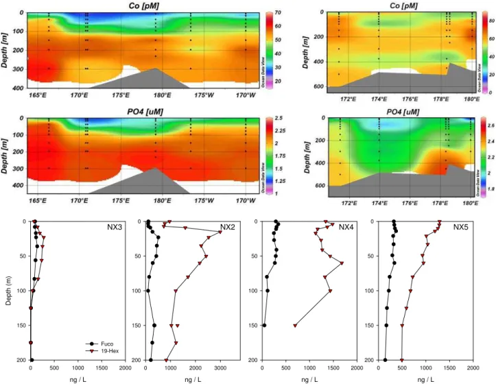 Fig. 4. Zonal sections of total dissolved cobalt and phosphate during summer (CORSACS-1; top left panel) and spring/early summer (CORSACS-2; top right panels)