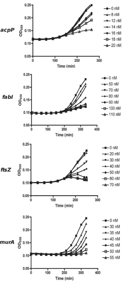 Figure 2. Dose dependent growth inhibition of antisense PNA-treated AS19 cells. Overnight AS19 cultures were sub-cultured in fresh media containing different PNA doses for each gene, and its growth monitored by turbidity
