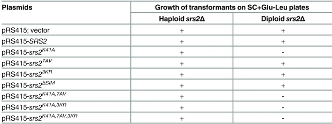 Table 1. srs2 K41A is lethal in diploids, but not in haploids.