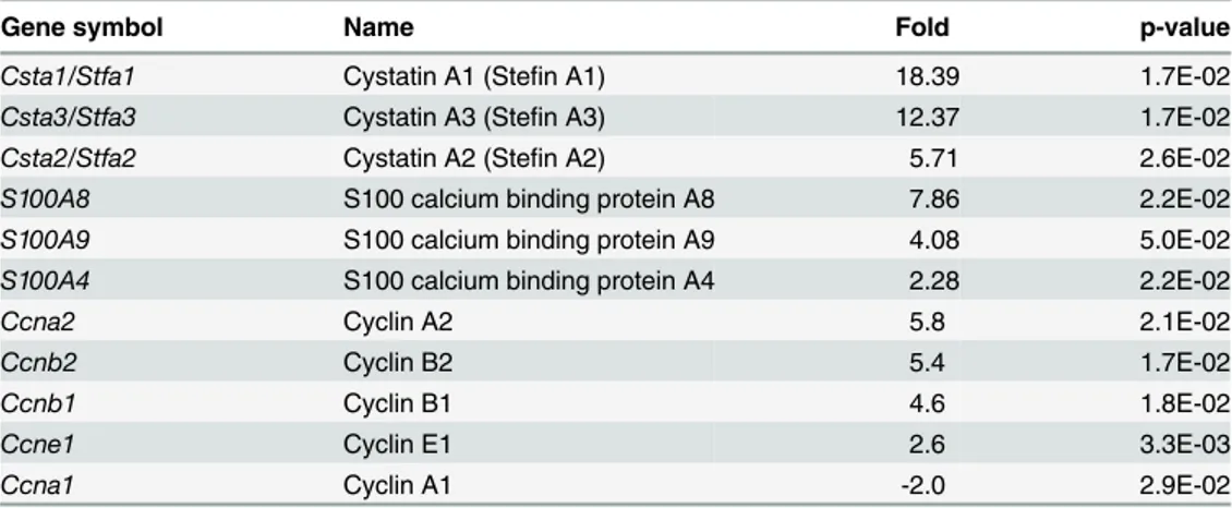 Table 3. Upregulation of cystatin A, S100 and cyclin genes in Dsg2 transgenic mice.