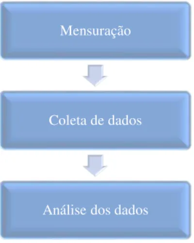 Figura 10  –  Elementos da pesquisa 