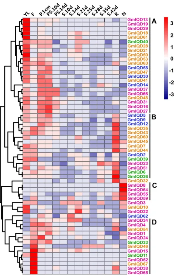 Figure 6. Hierarchical clustering of the expression profiles of soybean IQD genes in 14 tissues