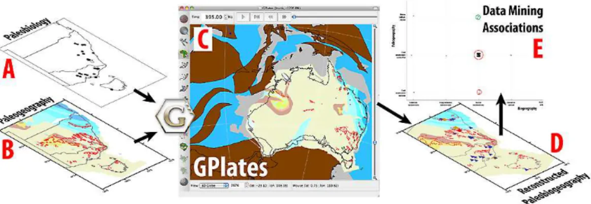 Fig. 3. Fossil collections (A) and the Australian paleogeography (B) are reconstructed in GPlates (C) using a Phanerozoic plate motion model, from which reconstructed  paleogeogra-phies (D) and data associations (E) are derived in order to test and refine 