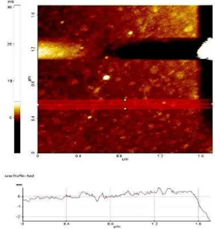 Fig. 4 – Reduced graphene oxide film and its height profile  3.1.3  Scanning electron Microscopy 