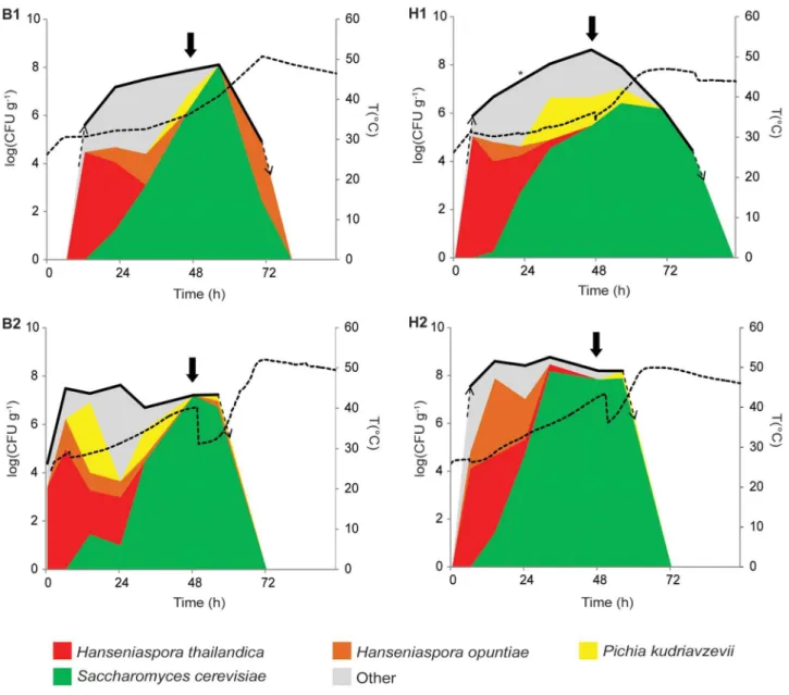 Figure S1 Dendrograms of (GTG) 5 -PCR fingerprints from 196 bacterial isolates that were identified as lactic acid bacteria