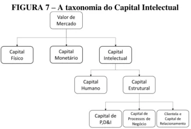 FIGURA 7  –  A taxonomia do Capital Intelectual 