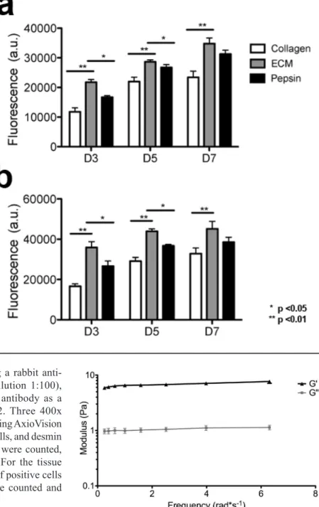 Fig. 2.  In vitro mitogenic activity  assay.  (a) Rat aortic smooth muscle  cells and (b) C2C12 skeletal myoblasts  were cultured using growth medium  with the addition of degraded skeletal  muscle matrix, collagen, or pepsin