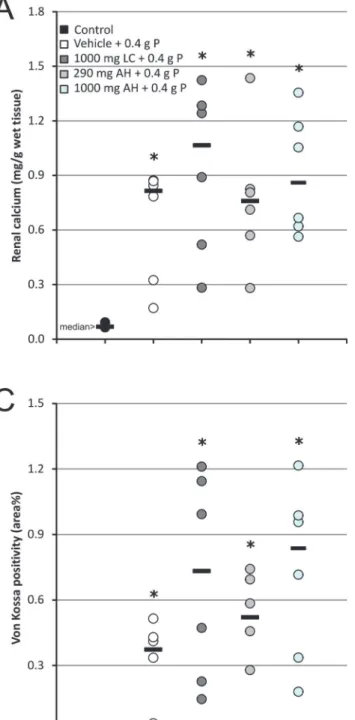 Fig 3. (A) Renal calcium content, (B) renal phosphate content and (C) histomorphometrical quantification of Von Kossa stained kidney sections.