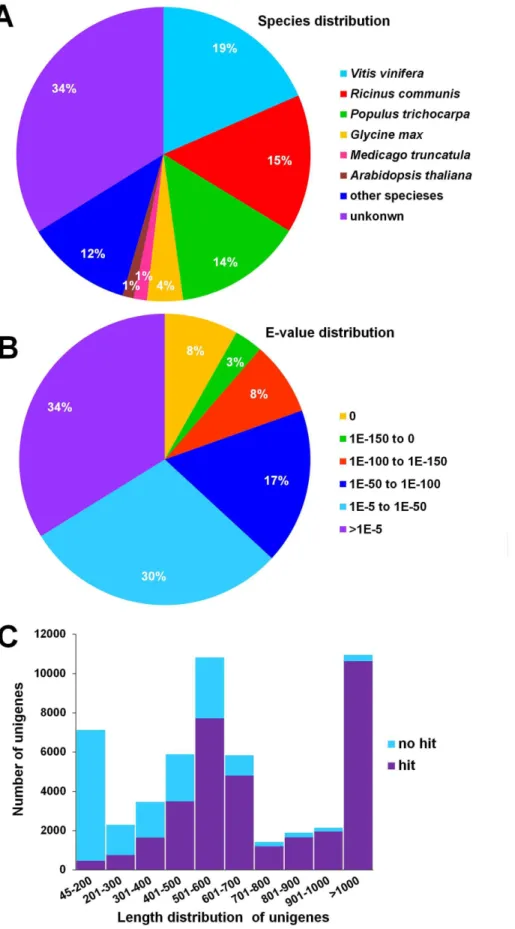 Figure 1. Unigenes functional annotation results. (A) Top-hit species distribution for BLASTx matches for yellow horn unigenes using the following order of priority: NR, TrEMBL and Swiss-Prot