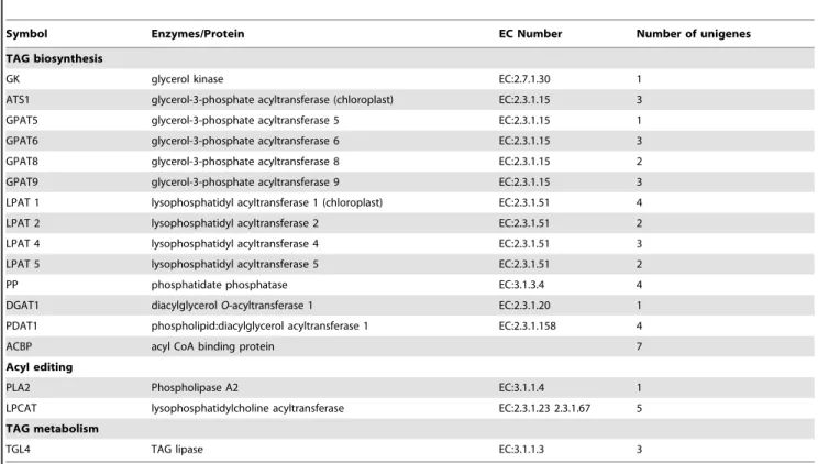 Table 5. Putative transcription factors related to the oil biosynthesis in yellow horn.