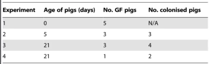 Table 1. Numbers and ages of GF and colonised pigs in each experiment.