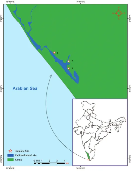 Figure 1. Map showing the positions of the collection localities of Namalycastis jaya sp