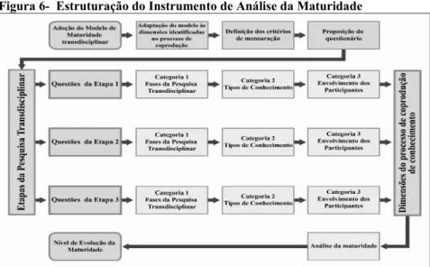 Figura 6-  Estruturação do Instrumento de Análise da Maturidade 