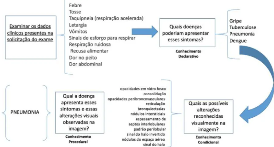 Figura  5  -  Exemplo  da  articulação  do  conhecimento  declarativo,  procedural  e  condicional para resolução do diagnóstico 
