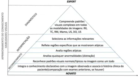 Figura 6 - Evolução do reconhecimento de padrões visuais de um radiologista 