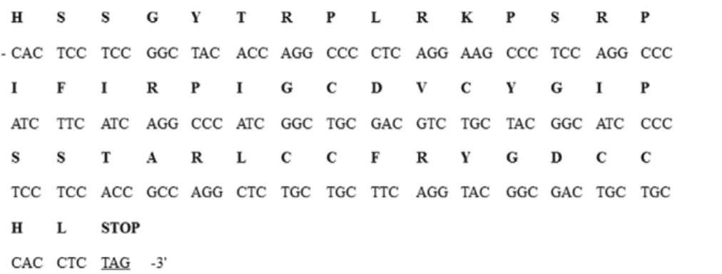 Figure 1. Generation and molecular analysis of the transgenic lines expressing Pen4-1