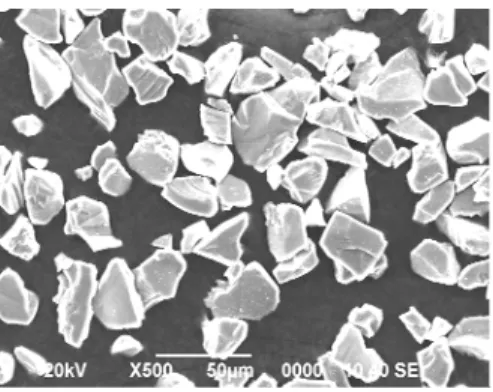 Fig. 1. SEM micrograph of  SiC particles 