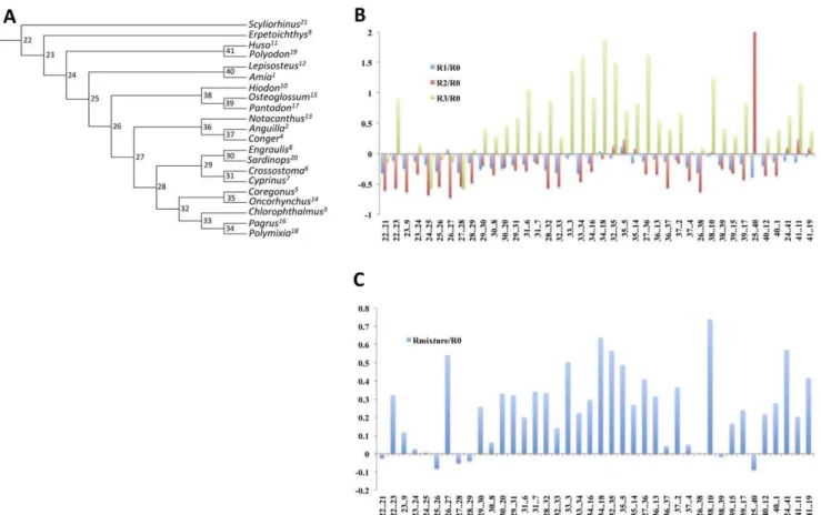 Figure 6. Comparison of branch lengths estimated under group-specific matrices and an overall matrix