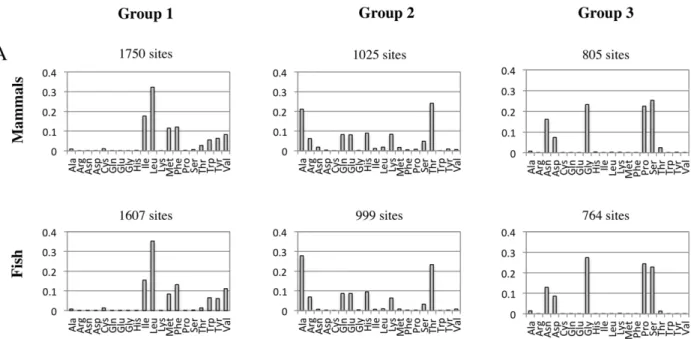 Figure 4A presents the R matrix for mtMam, and for the three sets of sites grouped according to their physiochemical properties.