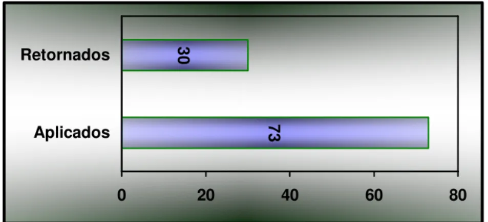 Gráfico 1 – Demonstrativo do retorno dos questionários da pesquisa 