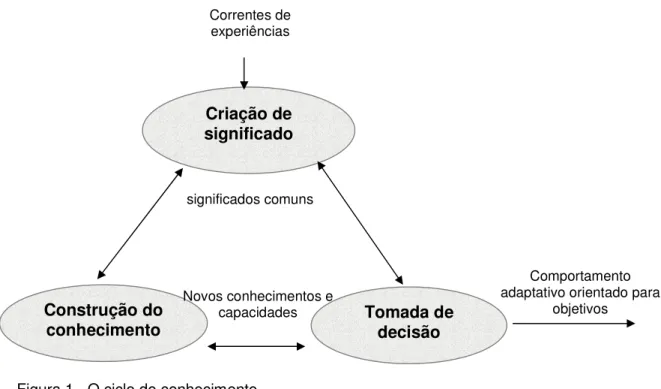 Figura 1 - O ciclo do conhecimento.  