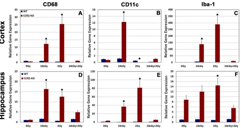 Fig 4. Gene expression analysis for pro-inflammatory markers from freshly dissected cortex and hippocampus