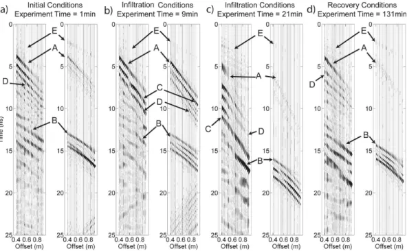 Fig. 5. Multi-offset GPR sections at 1, 9, 21, and 131 min into the experiment are shown to represent initial, infiltration, and recovery conditions, respectively