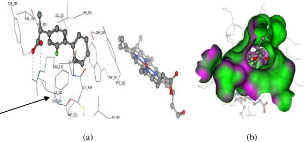 Figure 4   (a). Flurbiprofen’s interaction in the binding site of COX1. The arrow  showed Ile 523, specific amino acid in COX1 binding site