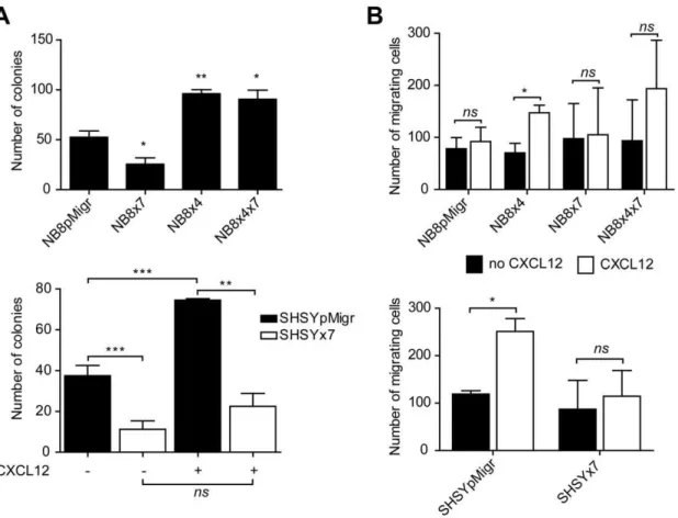 Figure 4. Impact of CXCR7 on NB growth and migration in vitro. (A) Clonogenic growth of NB transduced cell lines was evaluated in a soft agar assay, after at least two weeks of incubation at 37uC
