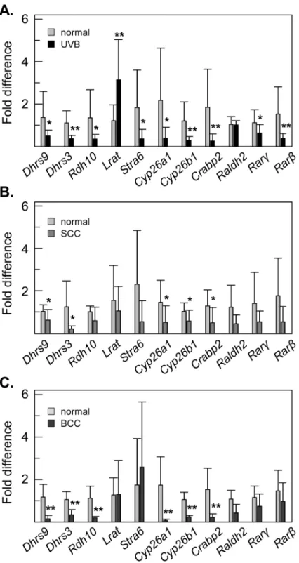 Fig 8. Expression levels of ATRA target genes in UVB irradiated mouse skin and in mouse models of UVB-induced SCC and BCC