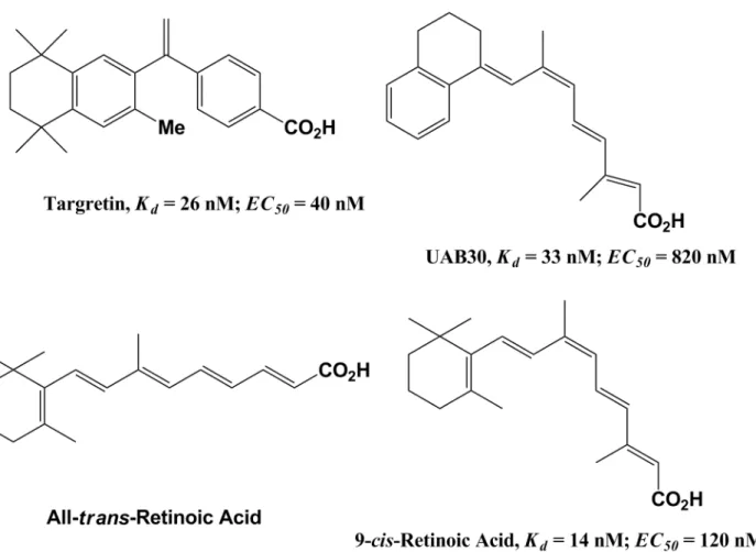 Fig 1. Chemical structures of RXR and RAR ligands. K d values for 9-cis-RA and UAB30 are from Grubbs et al