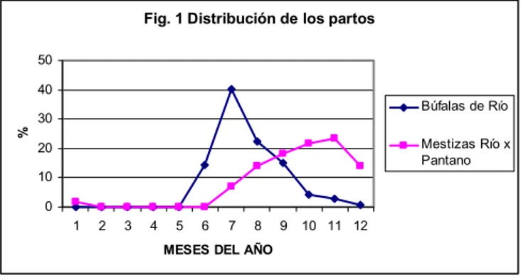 Fig. 1 Distribución de los partos