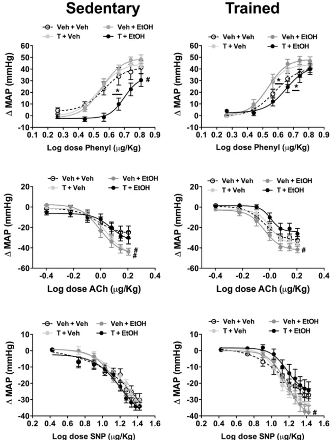 Fig 6. Mean arterial pressure change (ΔMAP) evoked by increasing concentrations of phenylephrine (Phenyl, top), acetylcholine (Ach, middle), and sodium nitroprusside (SNP, bottom) in in animals sedentary and subjected to exercise training on the treadmill 