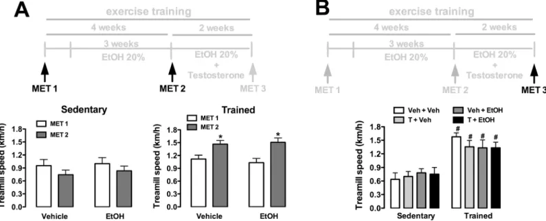 Fig 2. Maximal running speed (km/h) in maximal exercise tests (MET) in animals sedentary and subjected to exercise training on the treadmill (trained) treated with ethanol (EtOH) and/or testosterone (T)