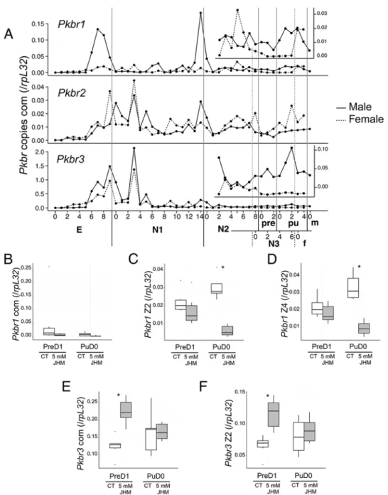 Fig 5. Expression profiles and JHM effects on br. A. Expression profiles of Pkbr copies identified in the present study