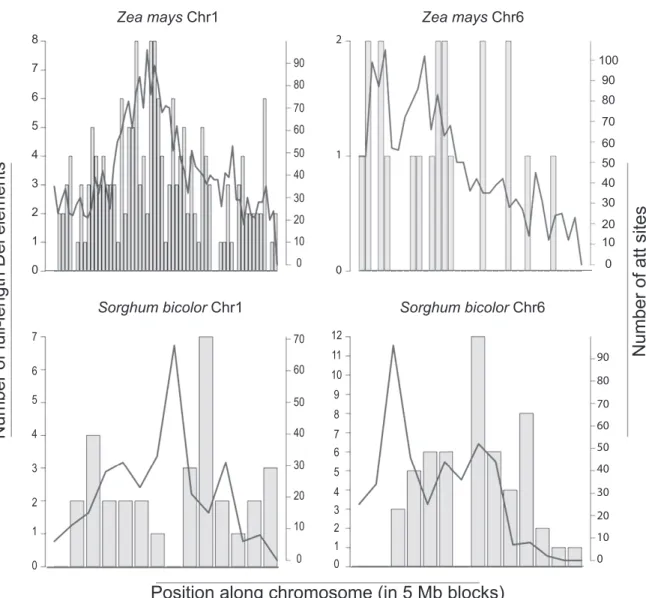 Figure 7. Distribution of U3 att and the full-length Del elements along maize and sorghum chromosomes 1 and 6 per 5 Mb