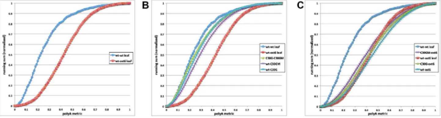 Fig. 6. Global poly(A) site analysis of the four genotypes studied in this report. Poly(A) site distributions in extended 39-UTRs were determined on a gene-by-gene basis and used for all possible pair-wise comparisons (wt-oxt6, wt-C30G, etc.) as described 