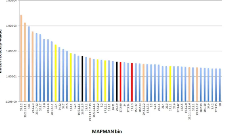 Fig. 7. Results of an analysis of global gene expression in the roots of the wt and oxt6 mutant