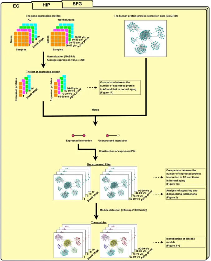 Figure  1.    Flowchart  for  the  identification  of  expressed  protein  interaction  networks  (PINs)  and  the  detection  of module