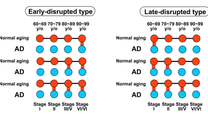 Figure 8.  Schematic illustration of AD-disrupted modules.  AD-disrupted modules were classified as the early-disrupted type or the late-disrupted type
