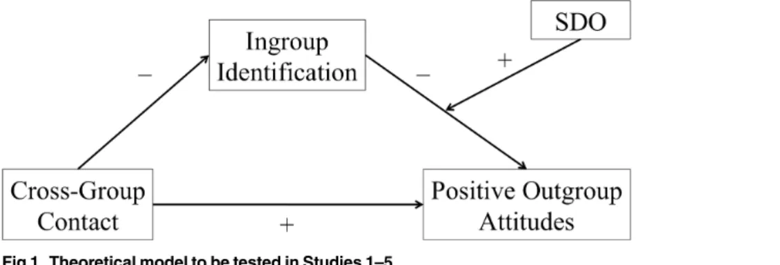 Fig 1. Theoretical model to be tested in Studies 1–5.