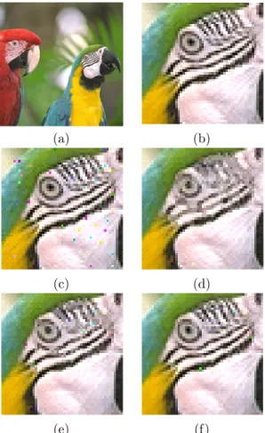 Figure 4: Image “Parrots” and its filtering results. (a) Original image. (b) Partial image with line structures.