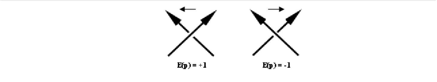 Figura 4 – Torção. 