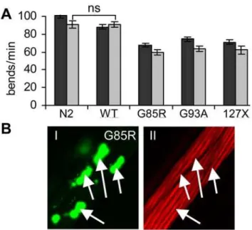 Table 1. SOD1 toxicity is modulated by destabilizing protein polymorphisms.