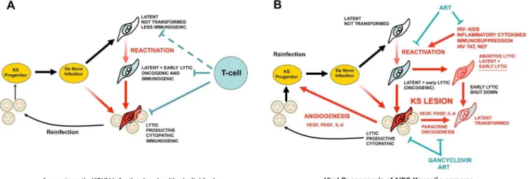 Figure 2. Molecular mechanisms, therapeutic targets, and clinically tested drugs in AIDS-KS paracrine viral oncogenesis.