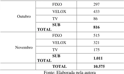 Figura 9 - Organograma da empresa pesquisada 