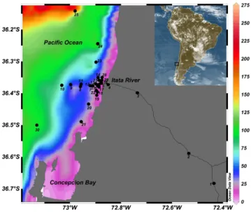 Fig. 1. Study area and location of the sampling stations in the coastal ocean adjacent to the Itata River off Central Chile
