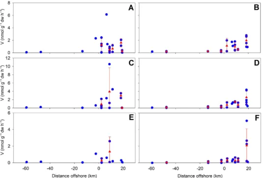 Fig. 7. Enzymatic extracellular hydrolysis of substrates MCA-leu (A, B), MUF-glu (C, D), MUF-cel (E, F) in surface sediment during winter (left panels) and spring-summer (right panels) in relation to distance from the coast (negative distances represent ri